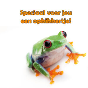 Wenskaart beterschap