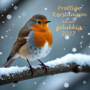 Kerstkaart met logo